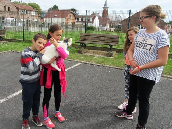 Dimanche 14 mai 2017, Parcours du cœur des familles à Haynecourt