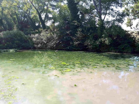 Lundi 2 juillet 2018, Sortie du RPI au château d'Olhain