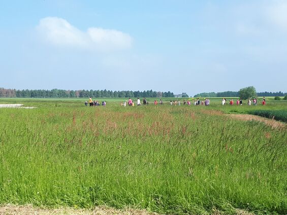Mardi 21 mai 2019, Parcours du cœur scolaire