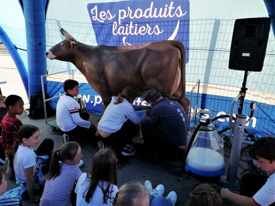 Vendredi 24 mai 2019, Visite de l'usine Candia