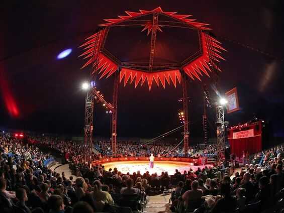 Jeudi 28 février 2019, Sortie au cirque éducatif