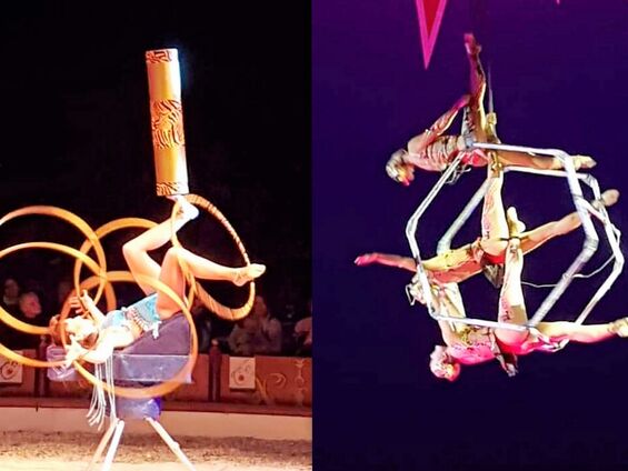 Jeudi 28 février 2019, Sortie au cirque éducatif