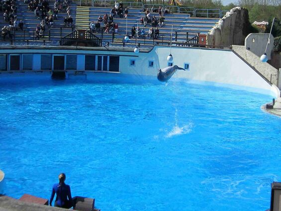 Samedi 18 avril 2015, Sortie au parc Astérix