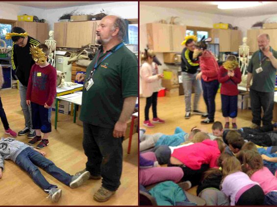 Visite du zoo de Wilwood trust