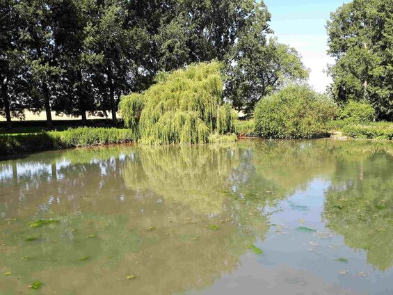 Lundi 2 juillet 2018, Sortie du RPI au château d'Olhain