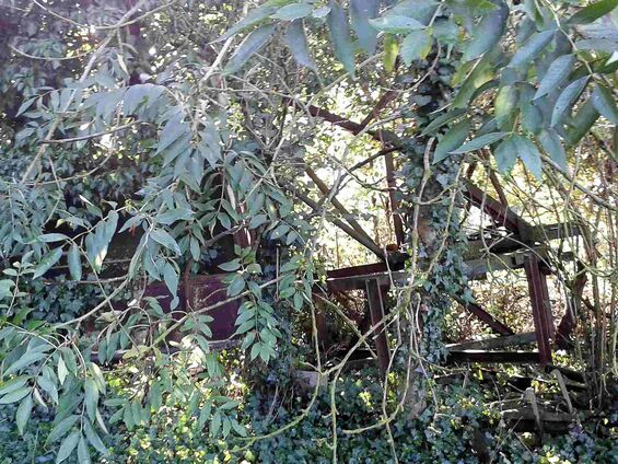Déchets sur les pistes d'Haynecourt avant 2016