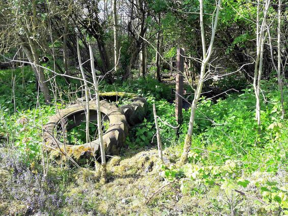 Déchets sur les pistes d'Haynecourt avant 2016