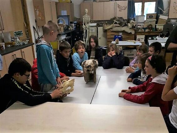 Petite séance de sciences naturelles ...