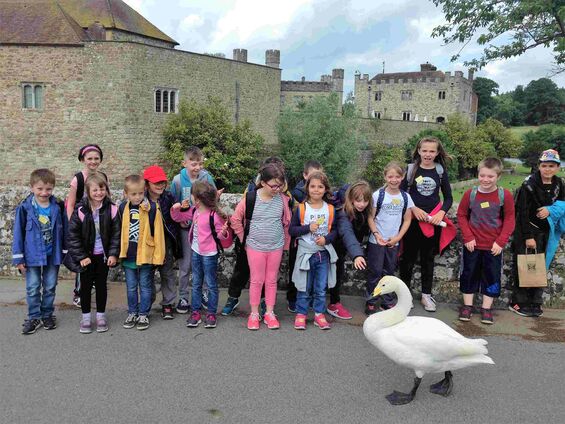 Visite du château de Leeds à Maidstone