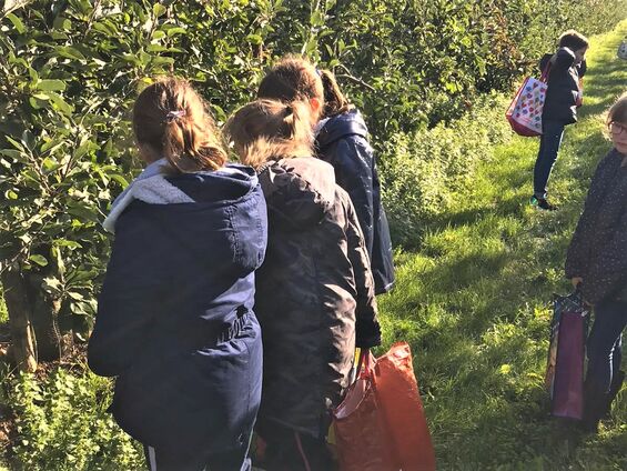Mardi 10 octobre 2019, Visite du verger d'Epinoy