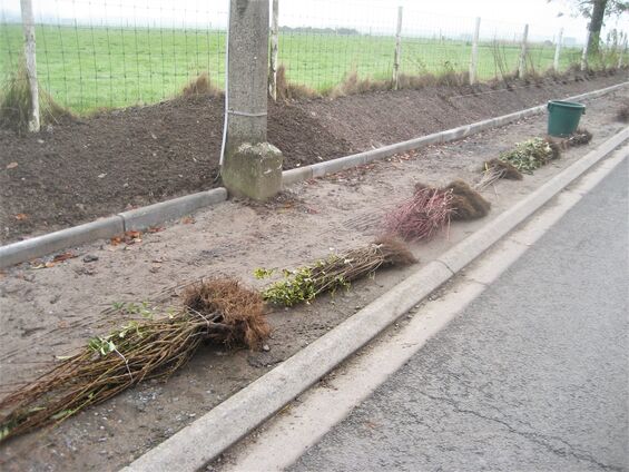 Travaux sur le trottoir de rue des Chanoines en novembre 2014