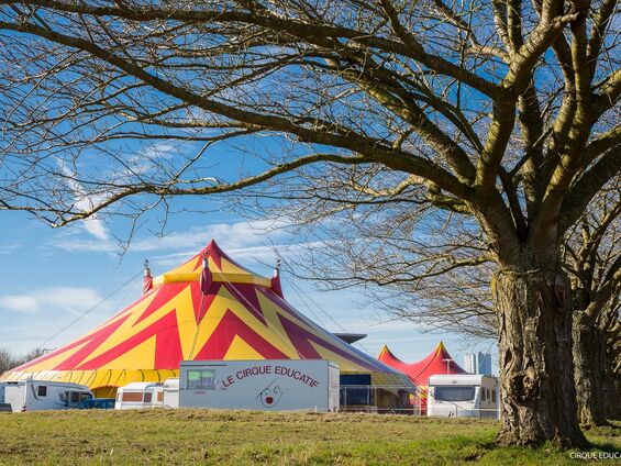 Jeudi 28 février 2019, Sortie au cirque éducatif