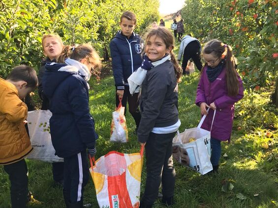Mardi 10 octobre 2019, Visite du verger d'Epinoy