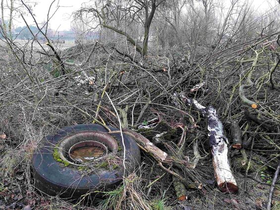 Déchets sur les pistes d'Haynecourt avant 2016