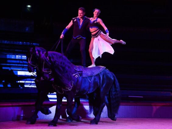 Jeudi 28 février 2019, Sortie au cirque éducatif