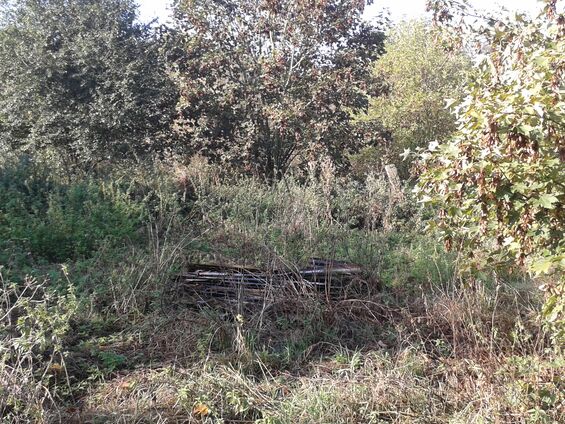 Déchets sur les pistes d'Haynecourt avant 2016
