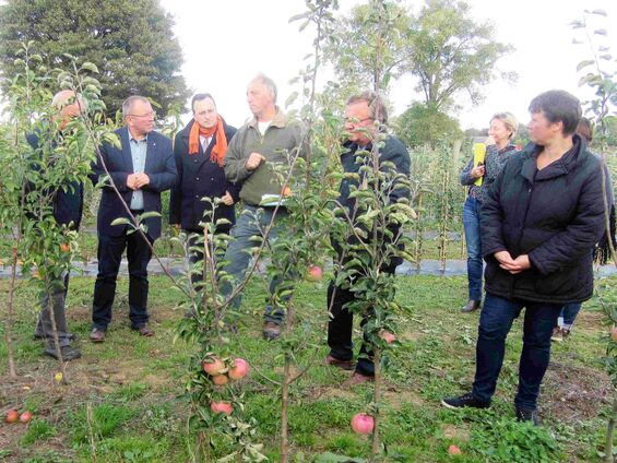 Mercredi 4 octobre 2017," Plantons le décor" à Haynecourt