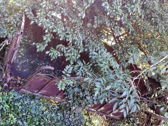 Déchets sur les pistes d'Haynecourt avant 2016