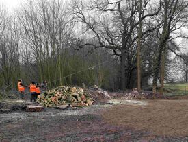 Evacuation des arbres dangereux sur le terrain omnisport