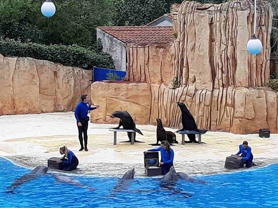 Samedi 9 juin 2018, Sortie au parc Astérix