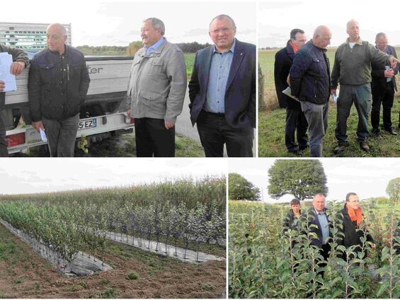 Mercredi 4 octobre 2017," Plantons le décor" à Haynecourt
